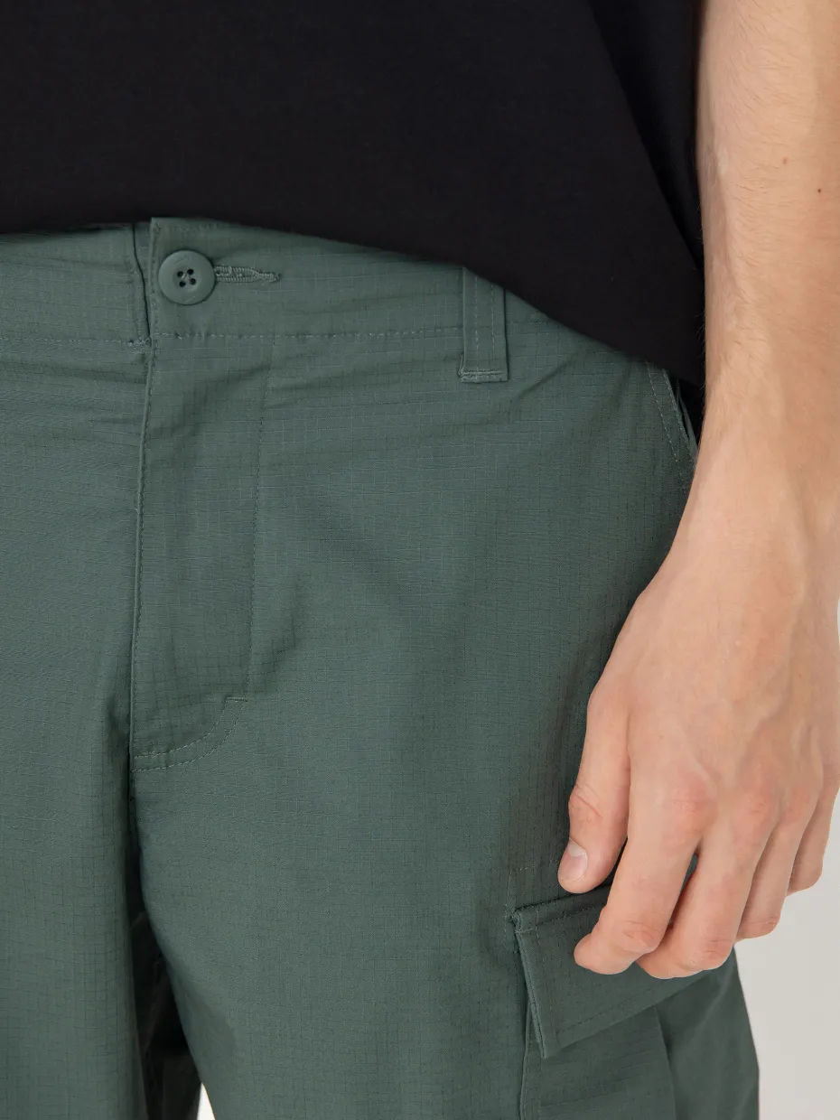 Nike SB Kearny Shorts