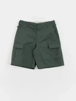Nike SB Kearny Shorts