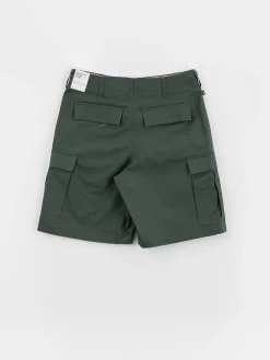 Nike SB Kearny Shorts