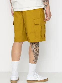 Nike SB Kearny Shorts