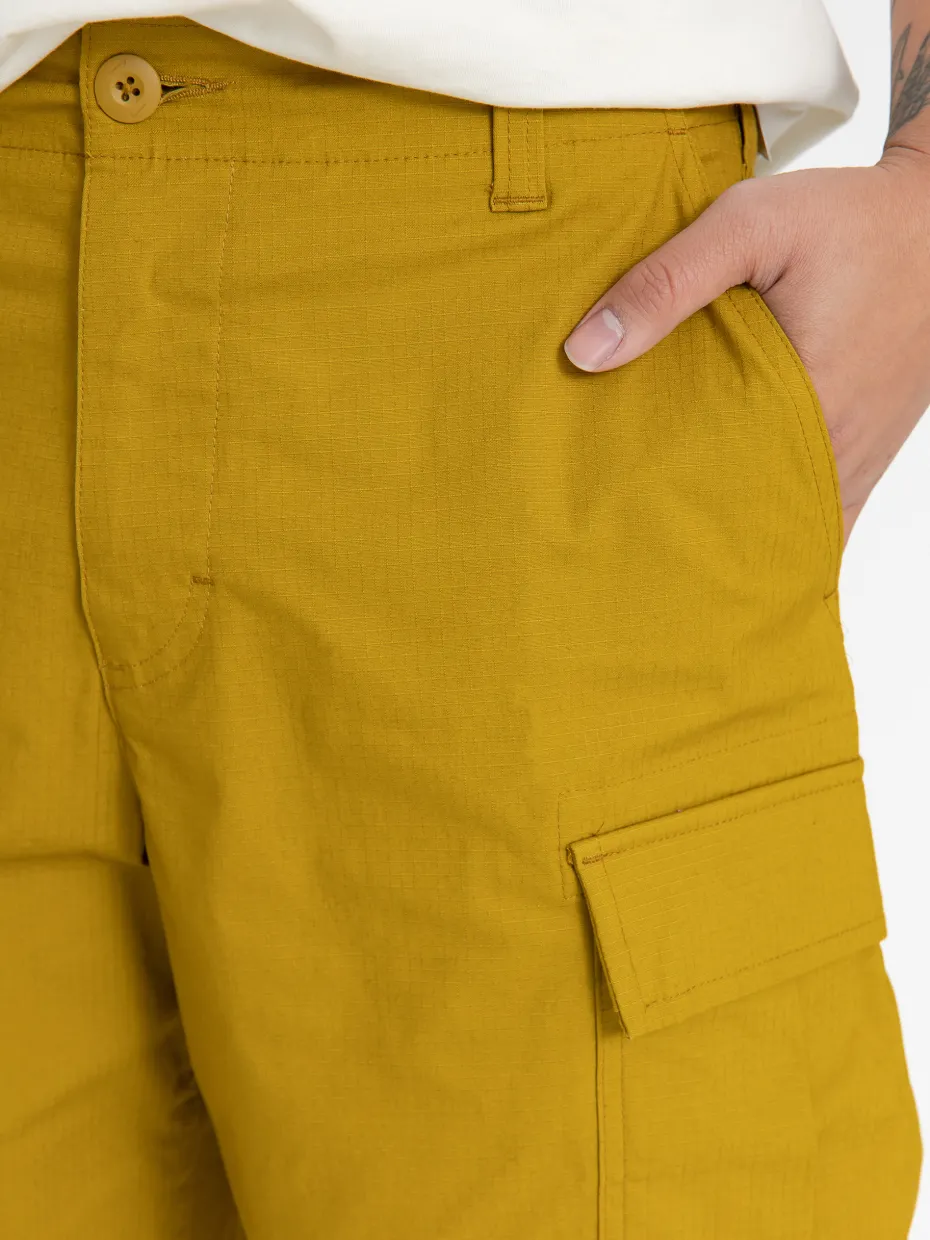 Nike SB Kearny Shorts