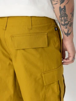 Nike SB Kearny Shorts