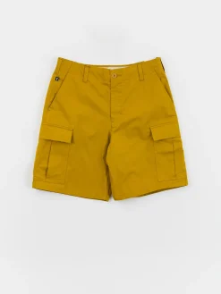 Nike SB Kearny Shorts