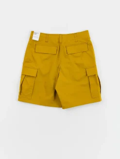 Nike SB Kearny Shorts
