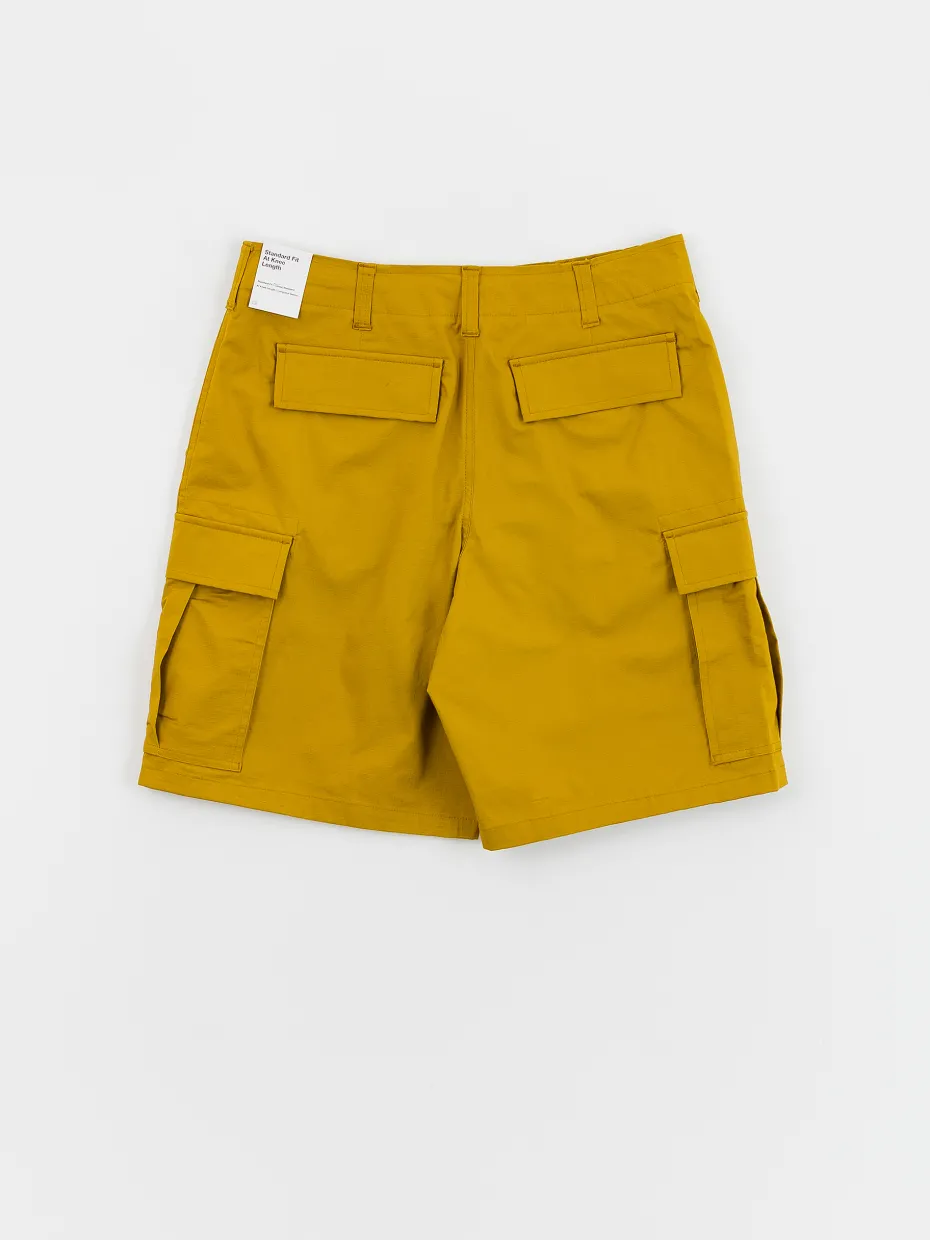 Nike SB Kearny Shorts