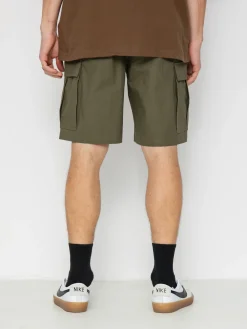 Nike SB Kearny Shorts