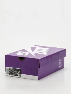 Nike SB Shoes AIR MAX ISHOD PRM