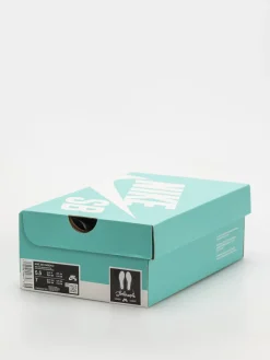 Nike SB Shoes Chron 2