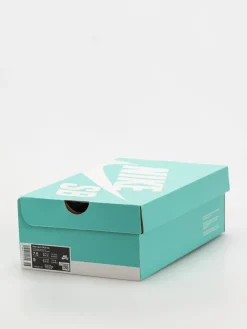 Nike SB Shoes Force 58