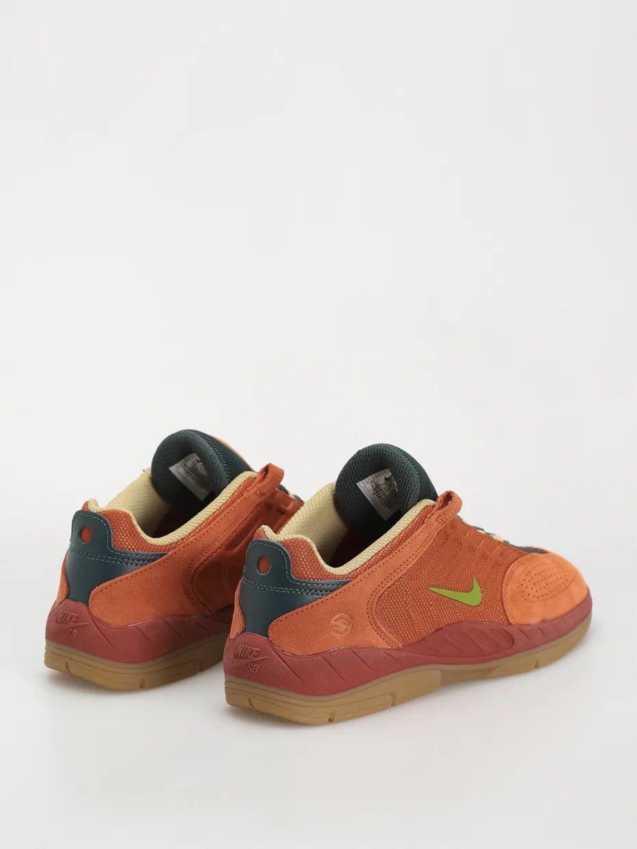 Nike SB Vertebrae Te Shoes