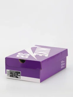 Nike SB Vertebrae Te Shoes