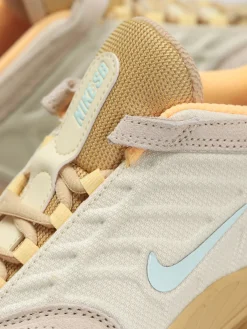 Nike SB Vertebrae Te Shoes