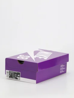 Nike SB Zoom Blazer Mid Prm Shoes