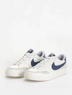 Nike SB Zoom Pogo Plus Shoes