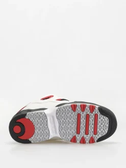 Osiris D3 OG Shoes