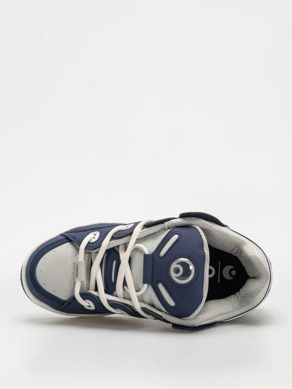 Osiris D3 OG Shoes