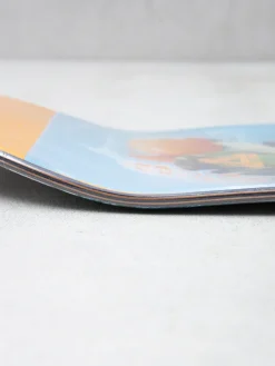 Palace Skateboards Brady Pro Deck