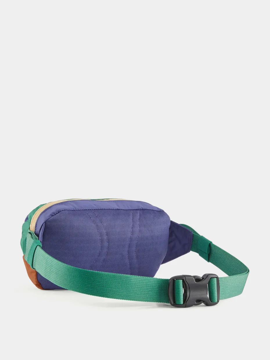Patagonia Bum bag Terravia Mini