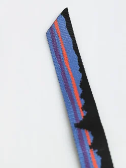 Patagonia Friction Belt