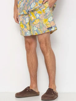 Patagonia Shorts Baggies Shorts 5in