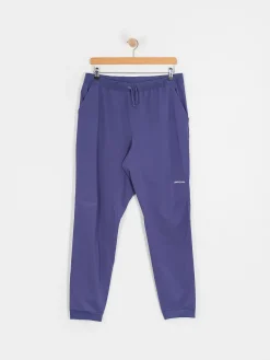 Patagonia Terrebonne Joggers Pants
