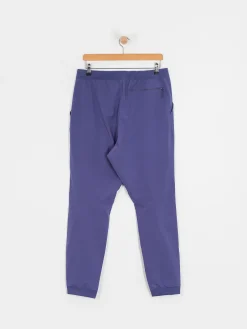 Patagonia Terrebonne Joggers Pants