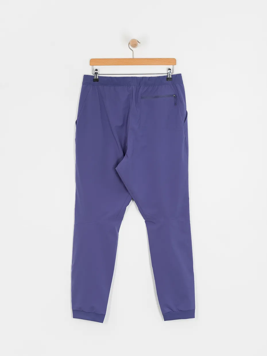 Patagonia Terrebonne Joggers Pants