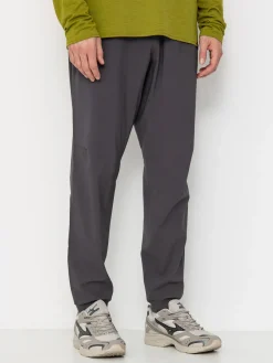Patagonia Terrebonne Joggers Pants
