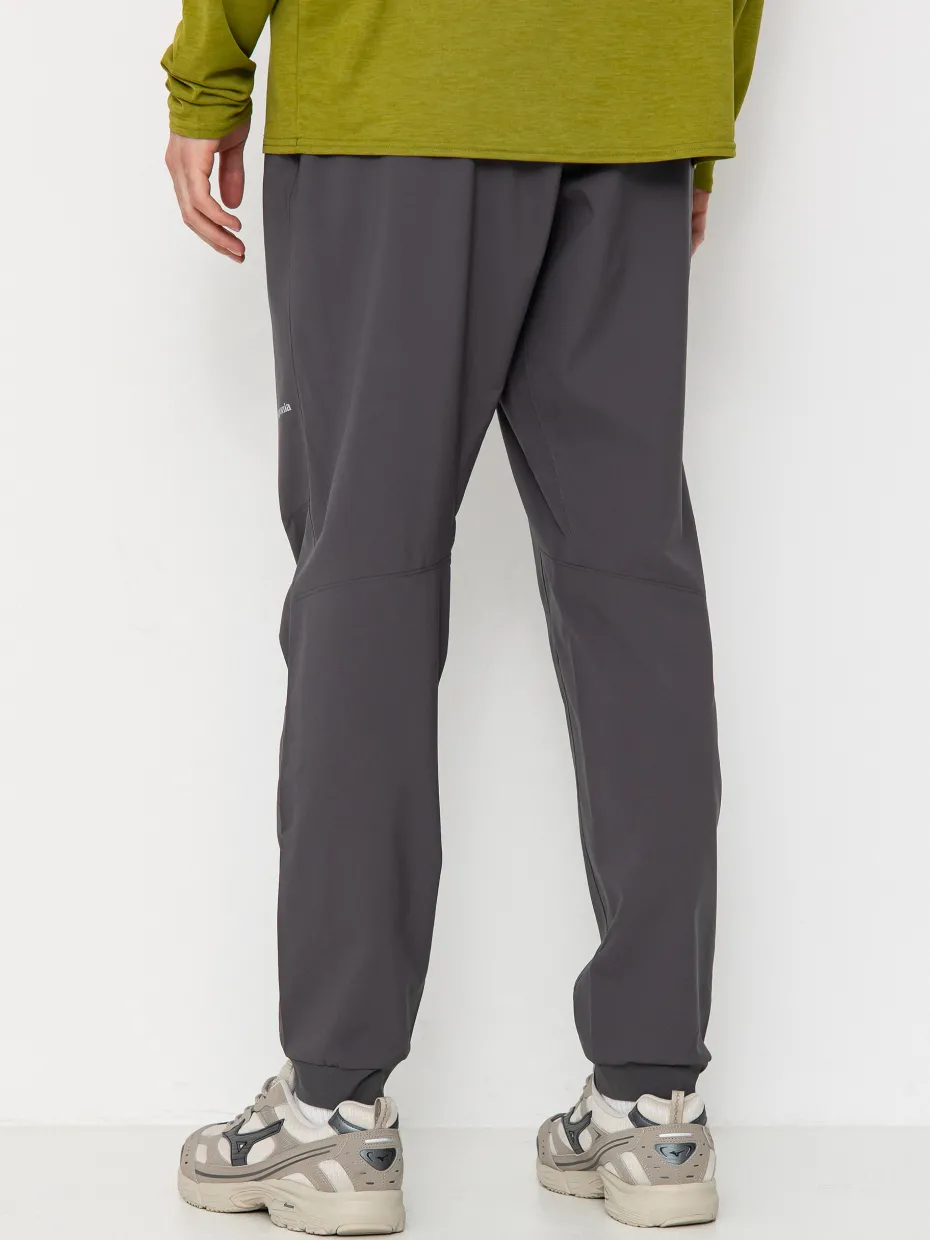 Patagonia Terrebonne Joggers Pants