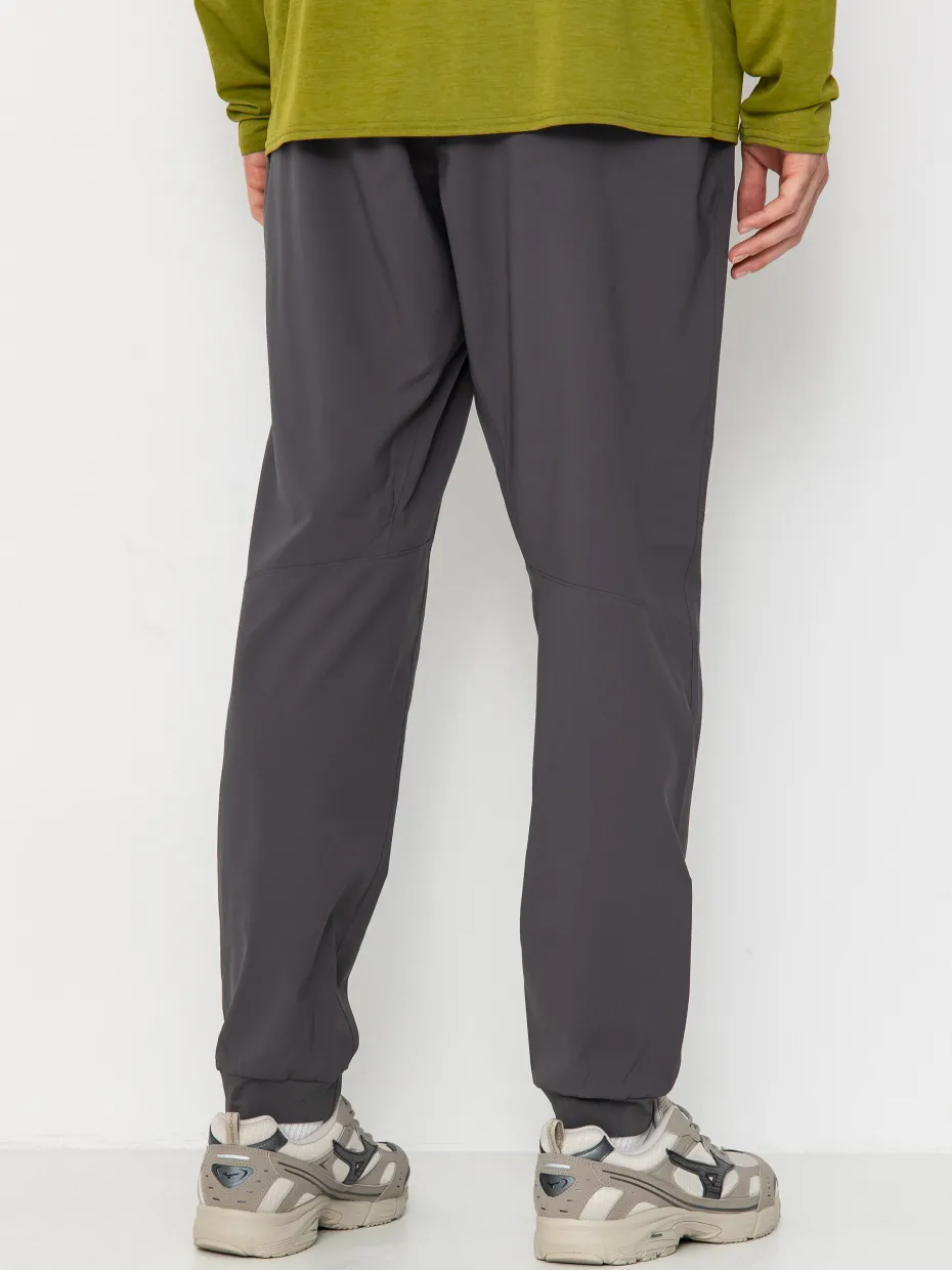 Patagonia Terrebonne Joggers Pants
