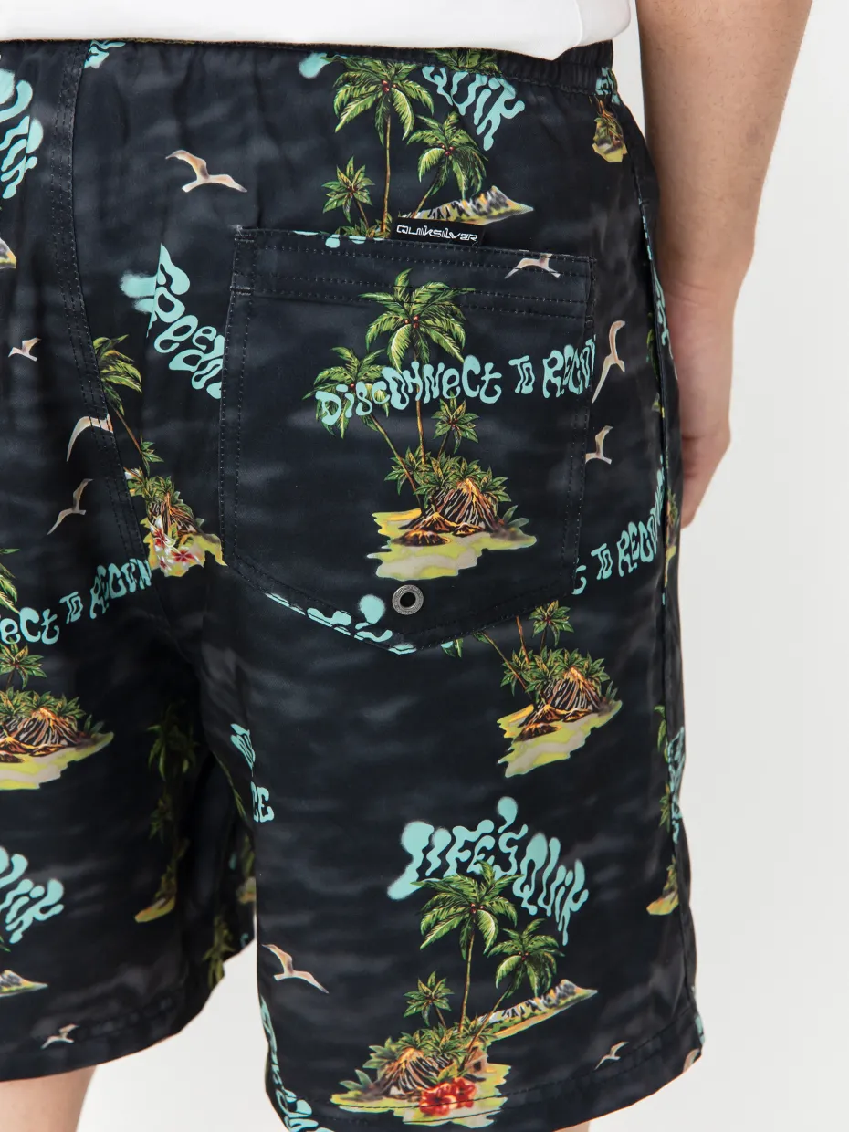 Quiksilver Shorts Everyday Straight Volley 17