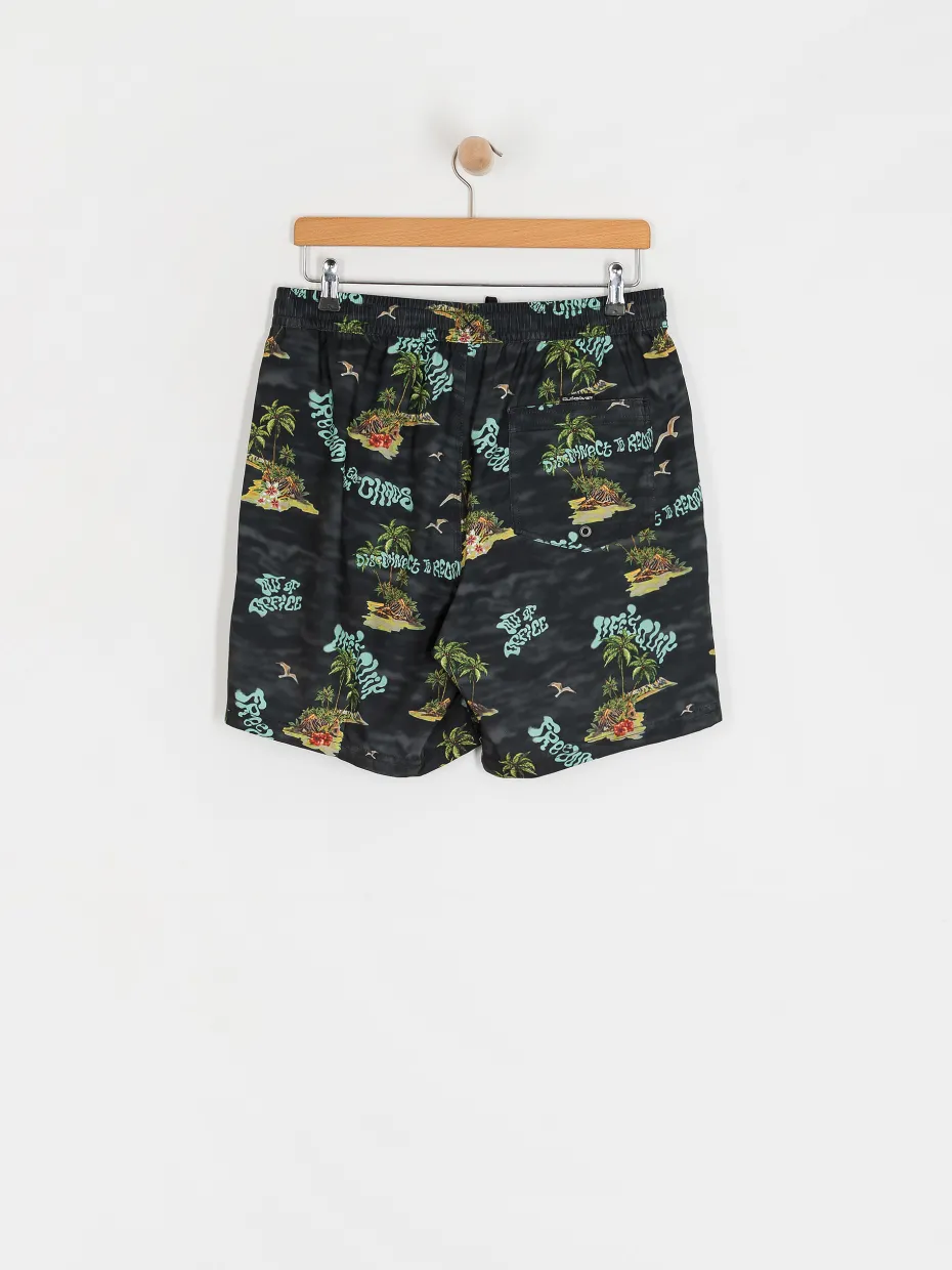 Quiksilver Shorts Everyday Straight Volley 17