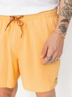 Quiksilver Surfsilk Solid Volley 16 Shorts