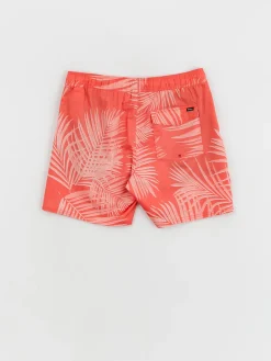 RVCA Barnes Elastic Boardshorts