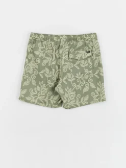 RVCA Barnes Elastic Boardshorts