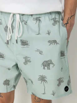 RVCA Barnes Elastic Boardshorts