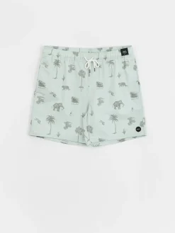 RVCA Barnes Elastic Boardshorts
