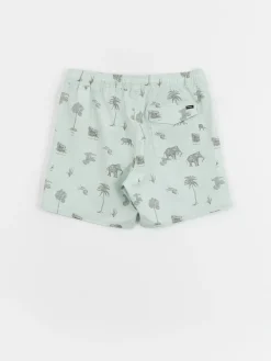 RVCA Barnes Elastic Boardshorts