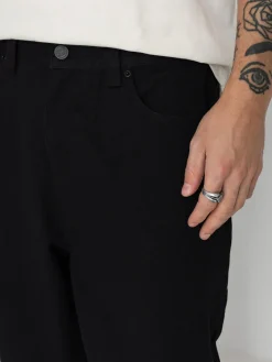 Santa Cruz Big Pant Pants