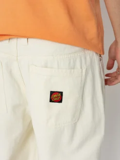 Santa Cruz Big Pant Pants