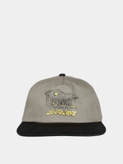 Santa Cruz Cap Braun Fever Dream