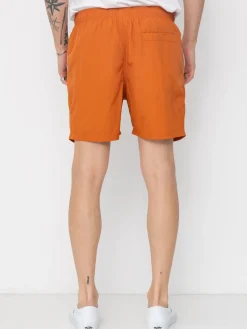 Santa Cruz Classic Dot Shorts