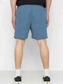 Santa Cruz Classic Dot Shorts