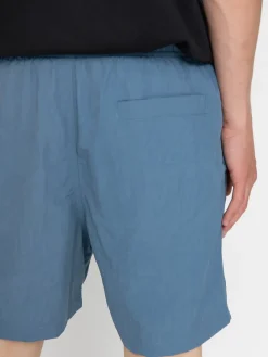 Santa Cruz Classic Dot Shorts