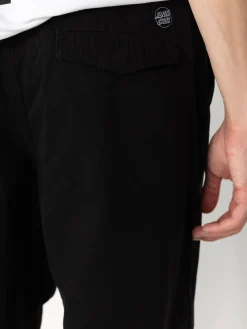 Santa Cruz Flight Pant Pants