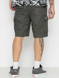 Santa Cruz Gauntlet Shorts