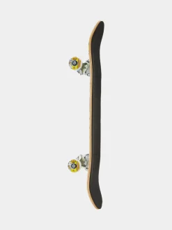 Speed Demons Skateboard Disco