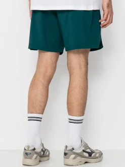 The North Face 24/7 Short Shorts