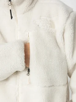 The North Face Denali X Jacket