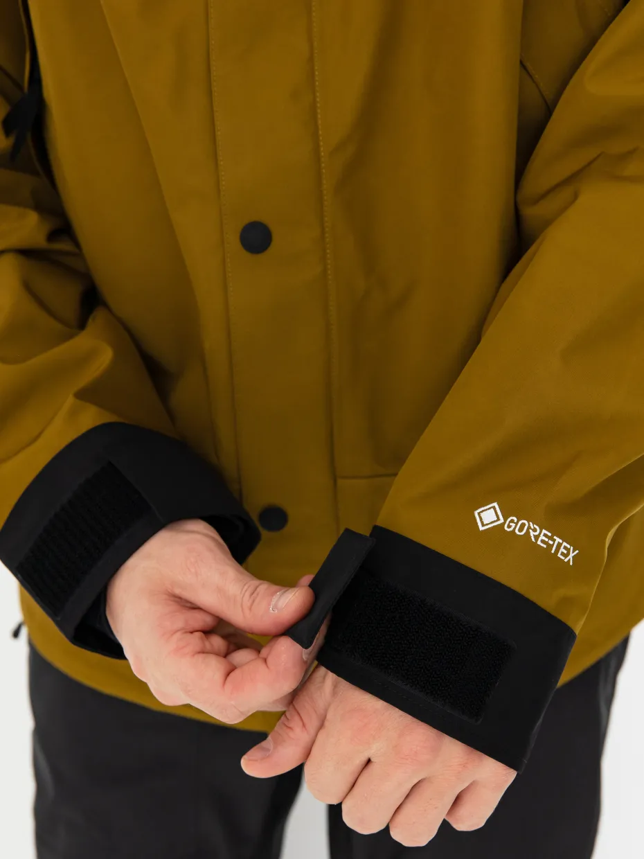 The North Face Gtx Mtn Jacket